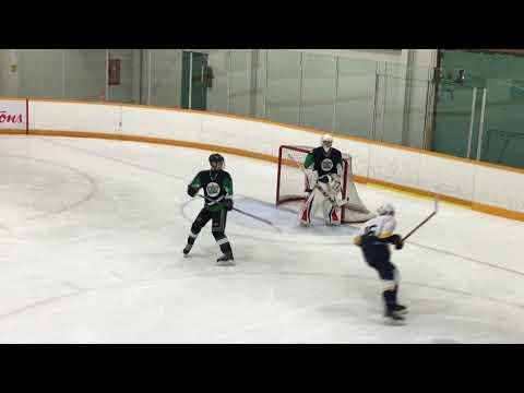 Video of Ethan Moreau SWZ Hockey