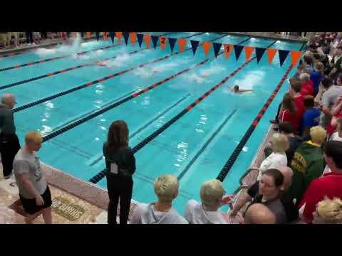 Video of 2020 IHSA State 100 Fly (Closest Lane)