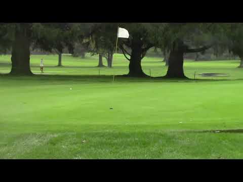 Video of kelly chip shot 2018 sectionals