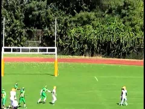 Video of Ronald Johnson Jr. Senior Year Highlights