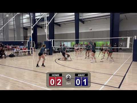 Video of Setter, #7, Roseville Highlights