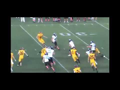 Video of Kick return touch down