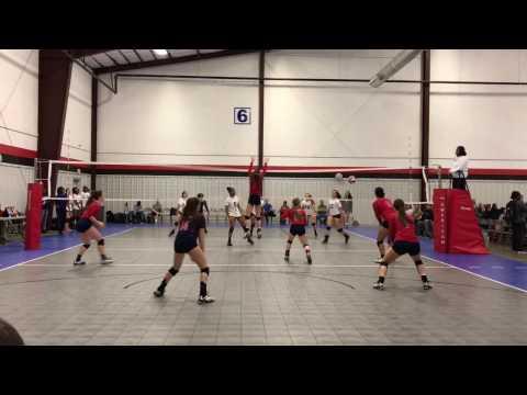 Video of Daisy Cook Setter vs Focus VBC March 2017