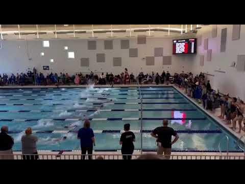 Video of 100 Free