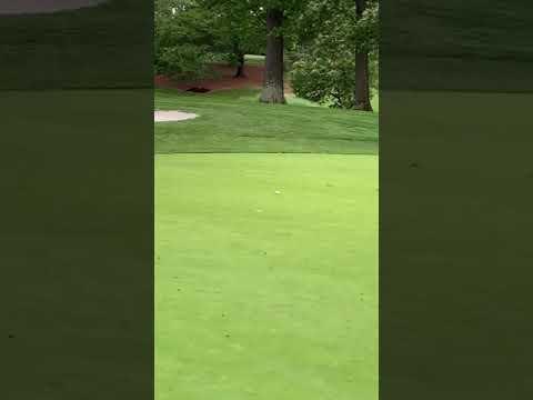 Video of Chipping