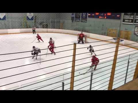 Video of Tate Murphy 17/18 Hockey Highlights ADHSHL Boys League 