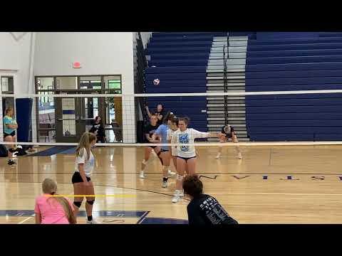 Video of Terran Speake 2021 Setter/RS