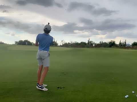 Video of Approach, Pitch, Chip