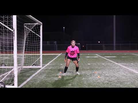 Video of Goalkeeper training video