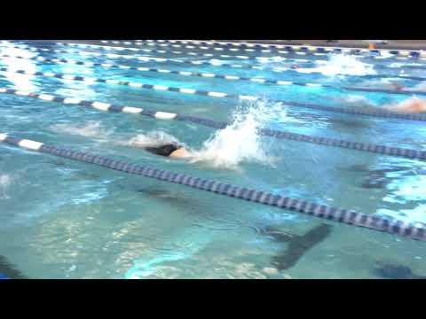 Video of 200 butterfly January 23/24