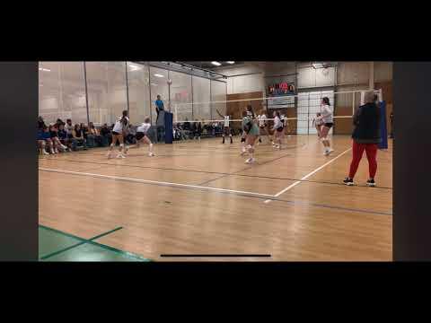 Video of PLQ vs PVA Highlights