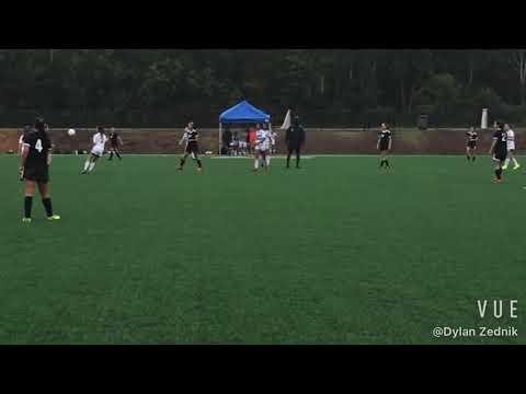 Video of Dylan Zednik - Goalkeeper 2023 - Highlight Reel