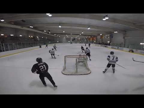 Video of JV State video (stopped 36/38 with a .947. 3-1 loss (with 1 empty net))