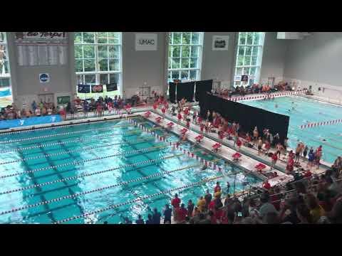 Video of Peter 200m BR/Lane 5/2019 LC YMCA Nationals