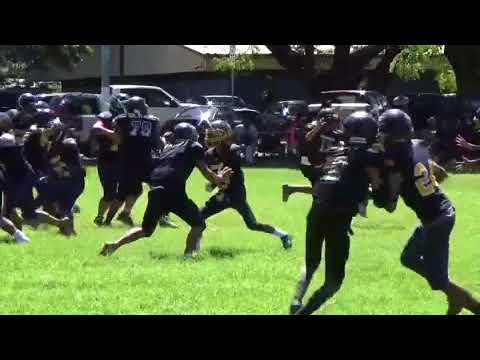 Video of Highlights 