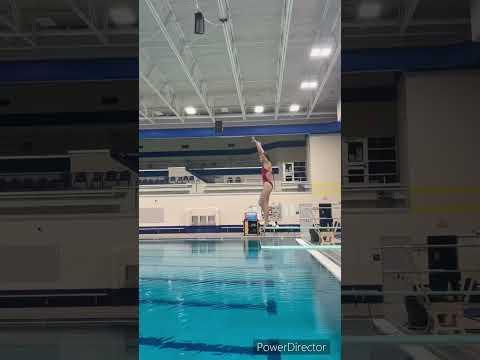 Video of 1 Meter Dives