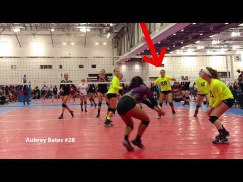 Video of Aubrey Bates Setter 2020