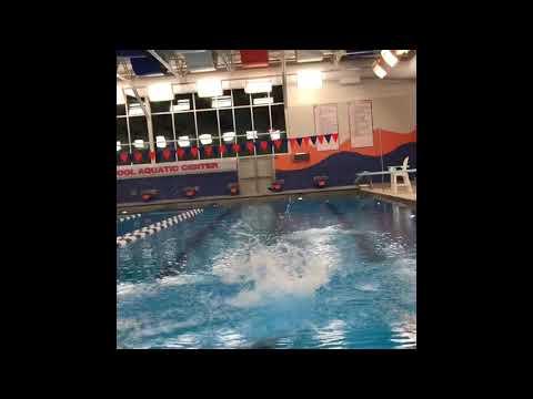 Video of 1M Diving Highlights 