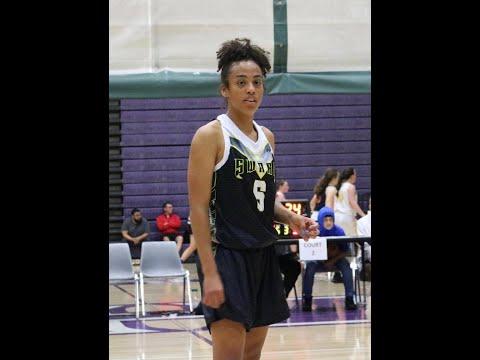 Video of 2019 AAU Highlights 