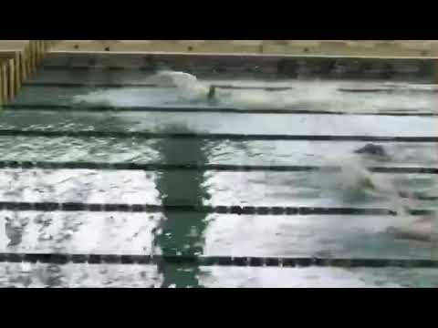 Video of 50 yard freestyle