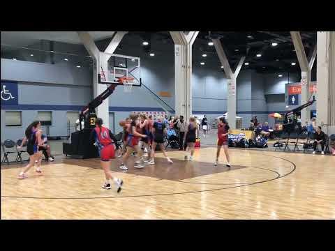 Video of Summer 2023 Highlights