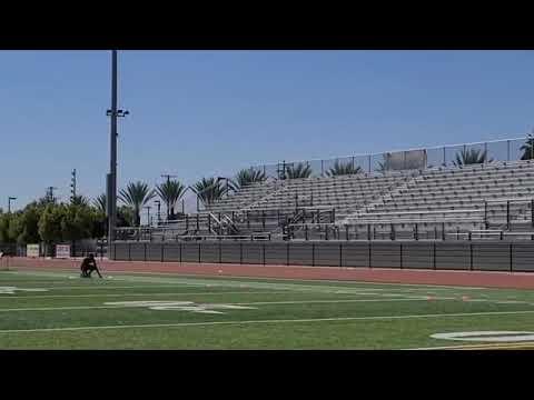 Video of 40M dash -4.43