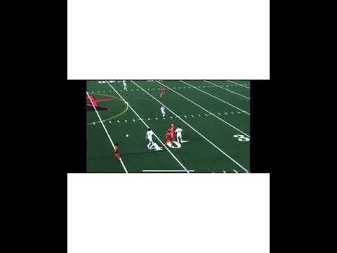 Video of Soccer highlights