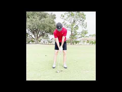 Video of Iron/Wedge Swing Compilation 