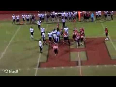 Video of Devin Cochran #35 Hilldale H.S. (sophmore year)