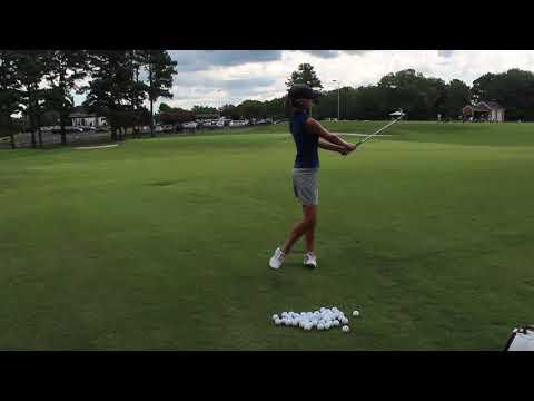 Video of Chipping