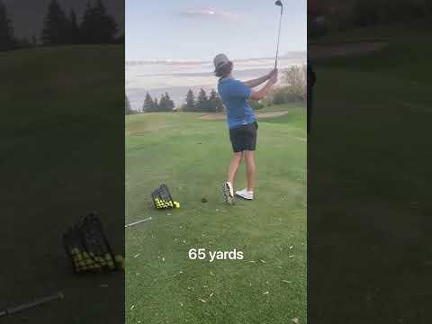 Video of 2022 swing