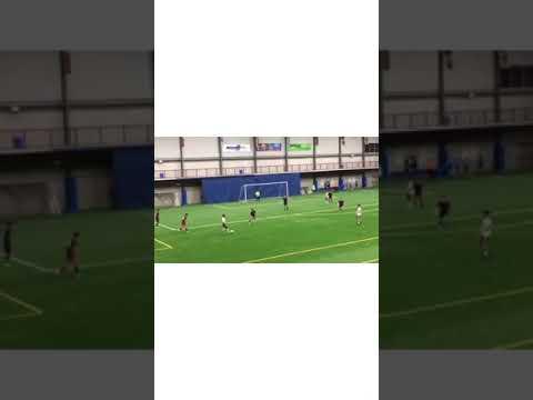 Video of soccer goal - 2018