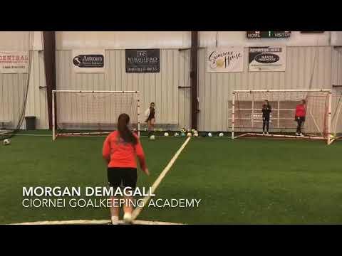 Video of Demagall Updated short Training video 12/4 last evening