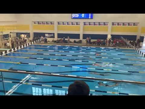 Video of 100 fly