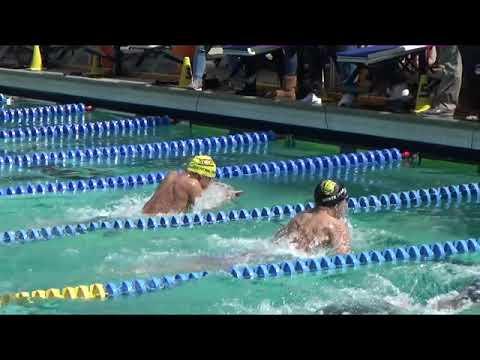 Video of Thomas B (yellow cap)_100Y Breast 58.78 sec_2019.04.04