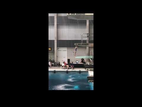 Video of 2019 USA Diving Zone D 3M Girls 14-15