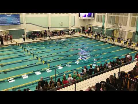 Video of Heidi 100 back, State finals, lane 5 from bottom, pink suit