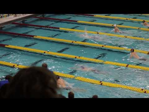 Video of 2017 MSHSL Boys AA 200IM finals lane 7, flower suit, placed 13th