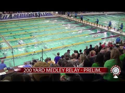 Video of 50 Back (23.83)