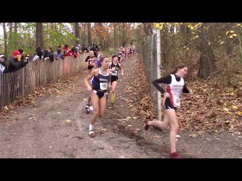 Video of Ava's 2nd Place Run, NY State Championships