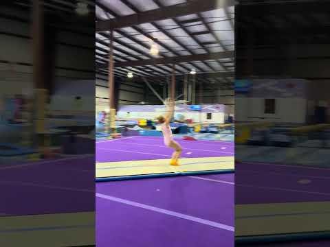 Video of Double Back 2/2024