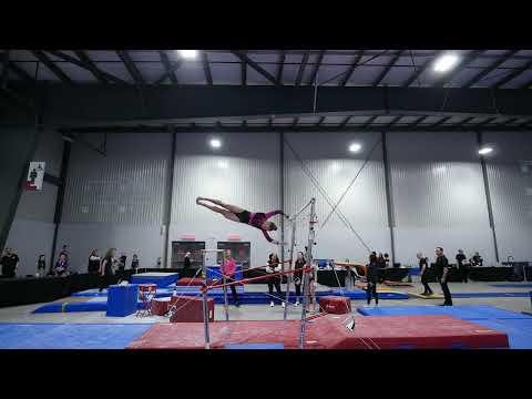 Video of Level 10 Bars