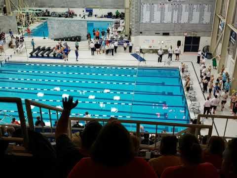 Video of Nicholas Ritter @2019 PA YMCA State Swimming