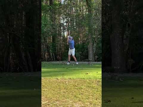 Video of Driver head on 