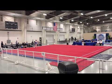 Video of Level 8 Floor (1st Place)