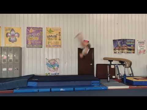 Video of Practicing a Layout vault