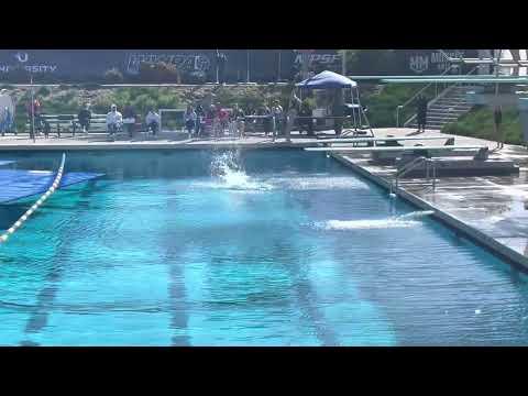 Video of Davis Diving Meet 3/25/23