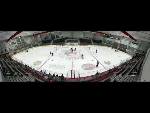 Video of Forechecking #92 white