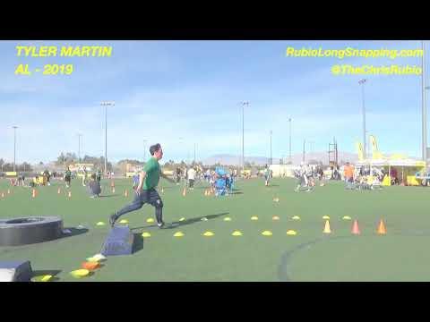 Video of Vegas Agility