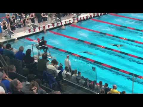 Video of Girls State Championship - Bottom lane, white cap, black suit, butterfly leg of the 200IM relay